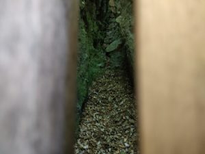 岩屋寺（45番）いわやじ