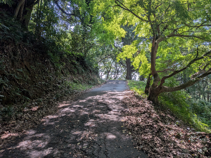 恩山寺(18番)おんざんじ