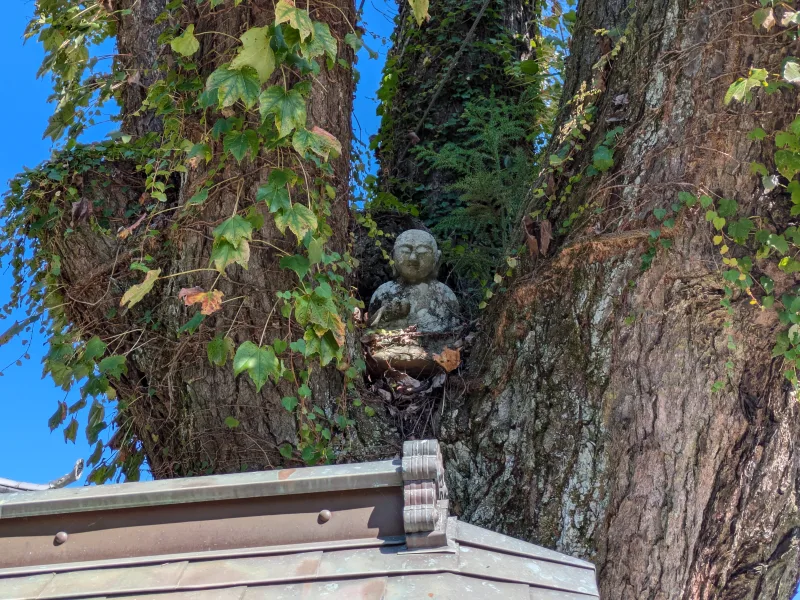 常楽寺（14番）