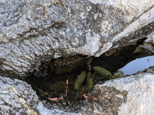 禅師峰寺（32番）