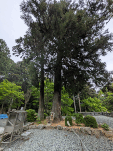 明石寺（43番）めいせきじ
