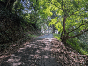 恩山寺（18番）おんざんじ