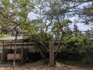 鶴林寺（20番）かくりんじ