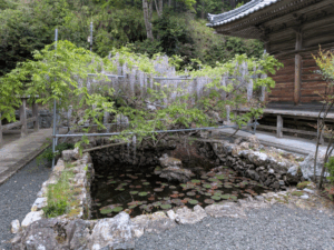 明石寺（43番）めいせきじ