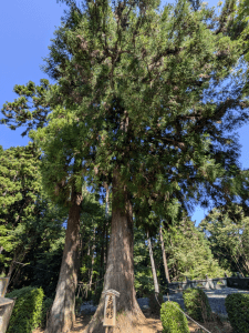 明石寺（43番）