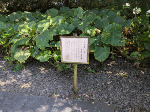 最御崎寺（24番）ほつみさきじ
