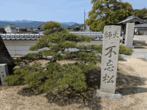 泰山寺（56番）たいさんじ