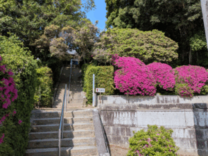 延命寺（54番）えんめいじ