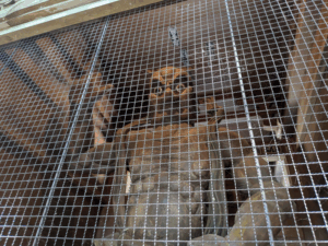 最御崎寺（24番）ほつみさきじ