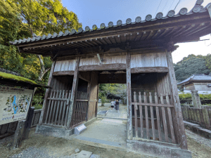 藤井寺（11番）