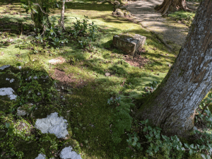 竹林寺（31番）