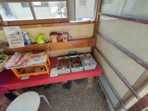 平等（22番）びょうどうじ