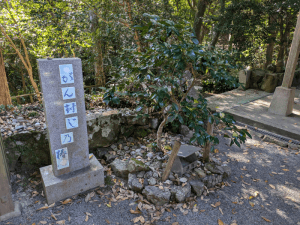 金剛頂寺（26番）