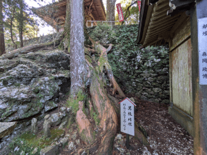 太龍寺（21番）