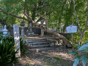 雪蹊寺（33番）
