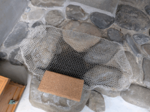 延光寺（39番）えんこうじ50