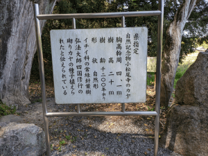 大興寺（67番）