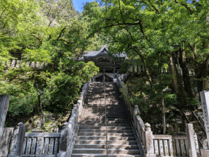 大寶寺（44番）