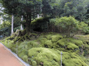 鶴林寺（20番）かくりんじ