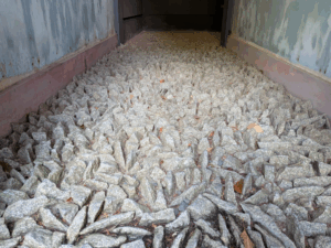 八坂寺（47番）やさかじ