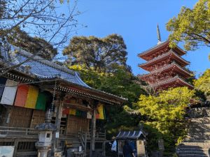 竹林寺（31番）