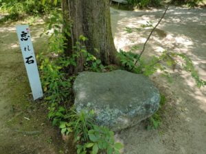 浄瑠璃寺（46番）じょうるりじ