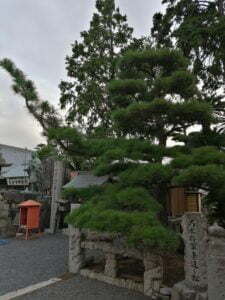 金倉寺（76番）