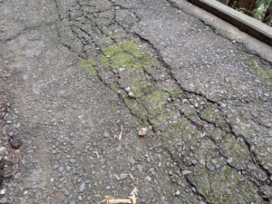 太龍寺（21番）ロープウェイを使わず登る方法