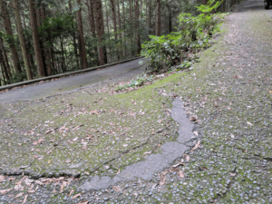 太龍寺（21番）ロープウェイを使わず登る方法